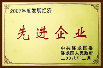 發(fā)展經濟先進企業(yè)